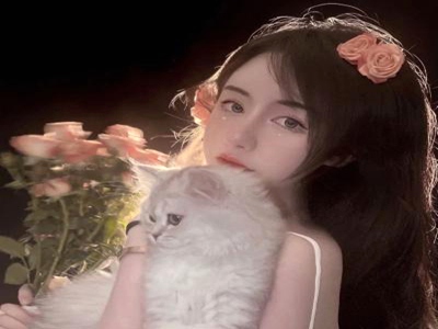 男女插孔,揭秘“男女插孔”：電子產(chǎn)品充電新奧秘-1